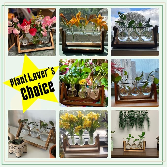 FLOWER Plant Terrarium with Wooden Stand, Air Planter Bulb Glass Vase Metal Swivel Holder Retro Tabletop for Hydroponics Home Garden Office Decoration - 3 Bulb Vase